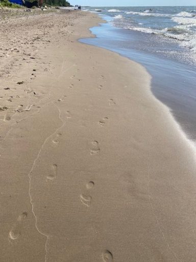 white sandy beach